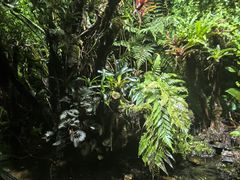 -太平洋海底世界