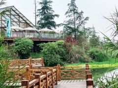 -桤木河湿地公园