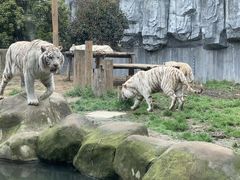 -常州淹城野生动物世界