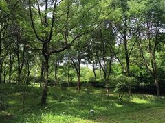 -绍兴鉴湖君澜大酒店