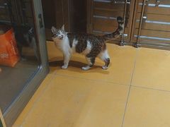 -MARSMART PETS火星宠物超市(1733店)