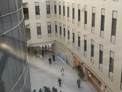 -首都医科大学附属北京天坛医院