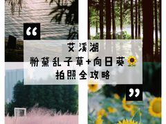 -艾溪湖湿地公园