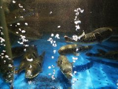 -蟹之国·精品蟹料理(极地店)