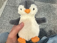 -海合安武汉极地海洋公园