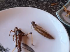 -白洋淀锅里口灶台鱼