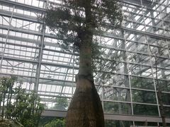 -南山植物园