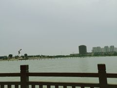 -九龙湖公园