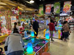 -卡通尼·Safari非洲探索乐园·生日会(金桥国际商业广场店)