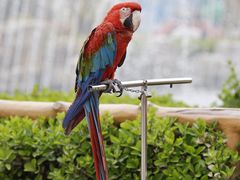 -石家庄市动物园