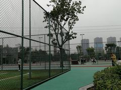 -东岳体育公园