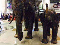 -英迪拉·甘地国际机场