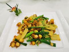 姜葱炒鲜瑶柱-金瑞轩大酒楼·顺德鱼生·粤菜海鲜(东江国际店)