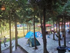 -重庆睡佛山森林公园