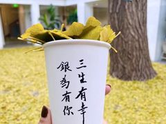 -自如ZSPACE四合院艺术餐厅