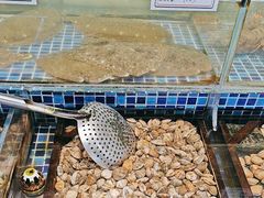 -天盛海鲜烧烤大排档·本地小海鲜·牟平腿穗子(幸福店)