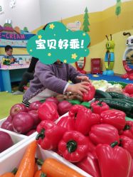 -莫莉幻想儿童乐园(南通永旺店)