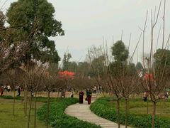 -秀丽东方