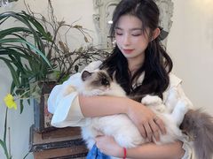 -共舞时光猫咖·狗咖(新街口店)