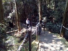 -七仙岭温泉国家森林公园