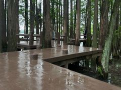 -东湖落雁景区