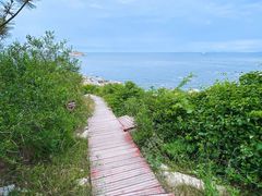 -养马岛旅游度假区