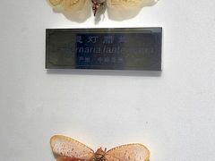 -上海昆虫博物馆