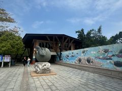 -广东惠东海龟国家级自然保护区