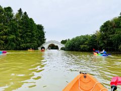 -上海海湾国家森林公园