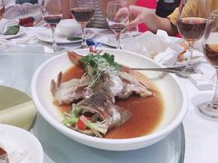 -京华世纪酒店·潮苑大酒楼(益华百货店)