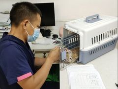 -乐琪宠物医院·犬猫专科·骨外科·急重症