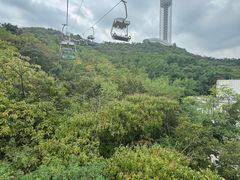 -富斯特索道