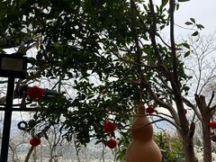 -天台山赤城山景区