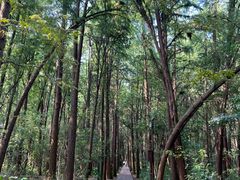 -同里国家湿地公园
