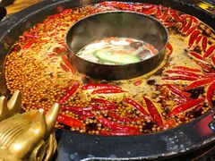 鸳鸯锅底-蜀大侠火锅(寰球文化地标·总府店)