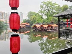 -侨美·唐荔园·40年地道粤菜