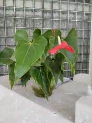 -汐月Health纤体spa中心