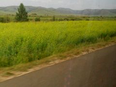 android_upload_pic-木兰围场