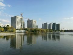 -南翔镇银翔湖公园
