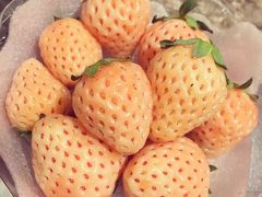 -堂宴·老厦门私房菜(1988仙岳总店)