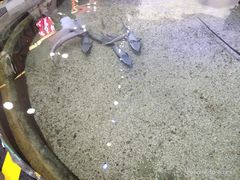 -鸿通城购物中心