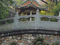 -南海湾森林生态园