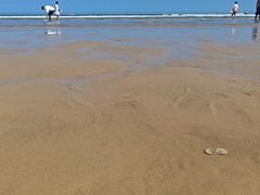 -日照海滨国家森林公园
