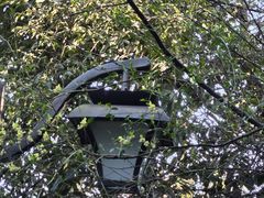 -杭州半山国家森林公园