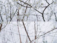 -三里河公园