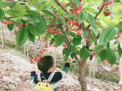 -普迪生态园