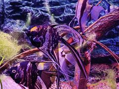 -上海海洋水族馆