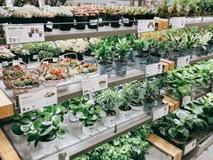 -鹿岛生活(熙地港店)