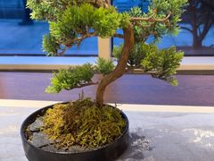 -高佳庄·海鲜酒楼(定海店)