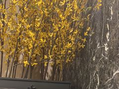 -同庆楼(奥体中心店)